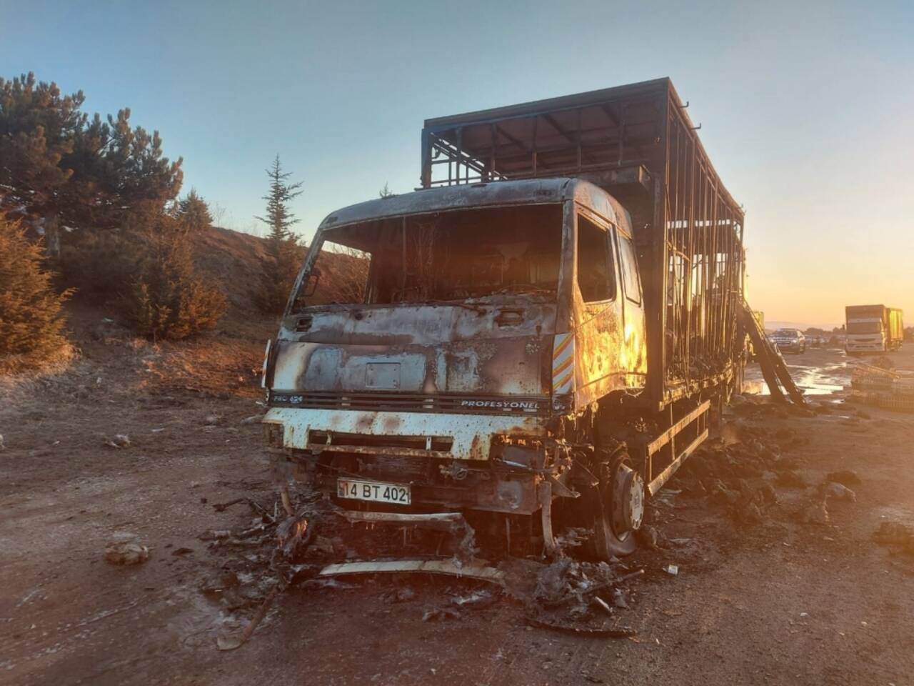 Bolu'da kamyonda çıkan yangında yüzlerce tavuk telef oldu