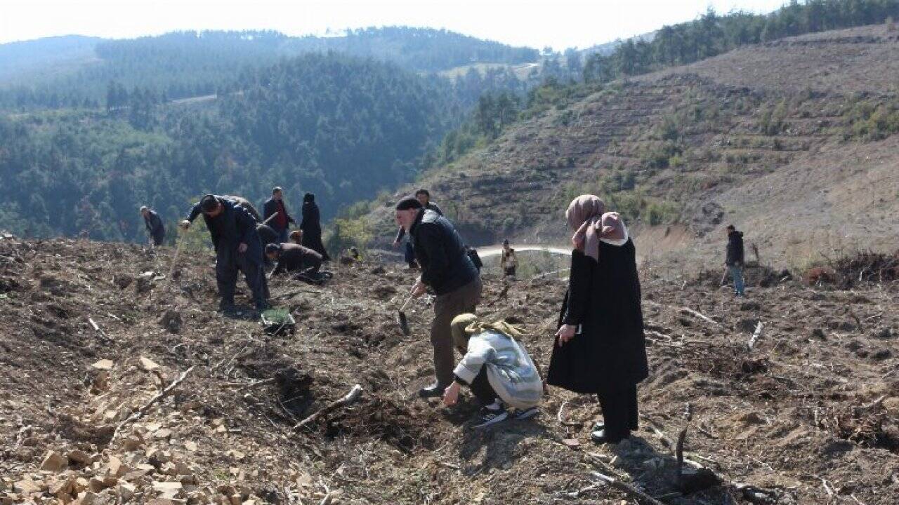 Bursa Yıldırım'da Saadet'ten Erbakan adına 'hatıra ormanı'