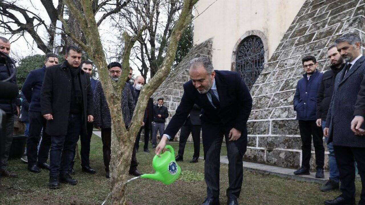 Bursa'da rivayet gerçek oldu... Türbenin önüne nar ağacı dikildi