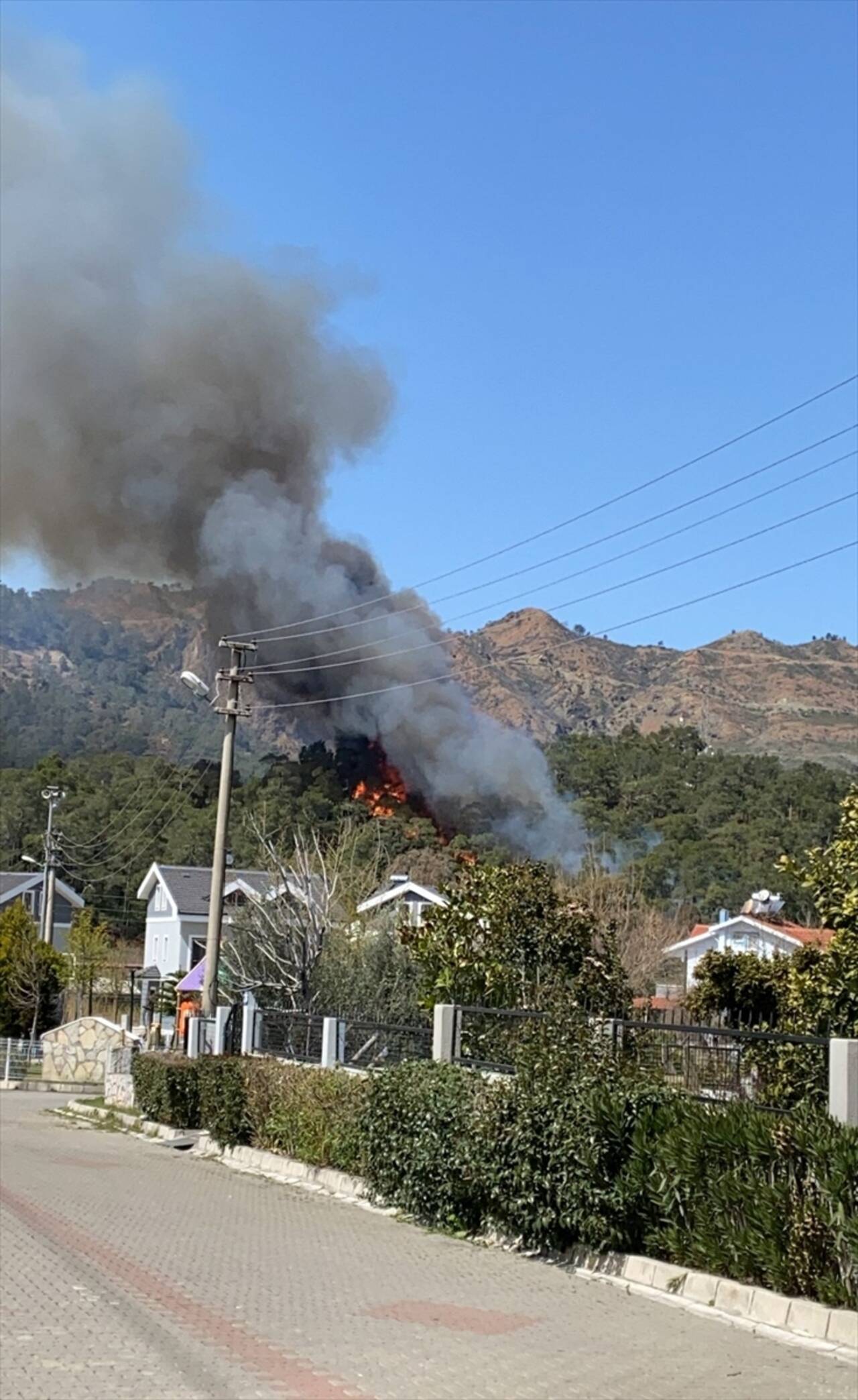 Fethiye'de orman yangını çıktı