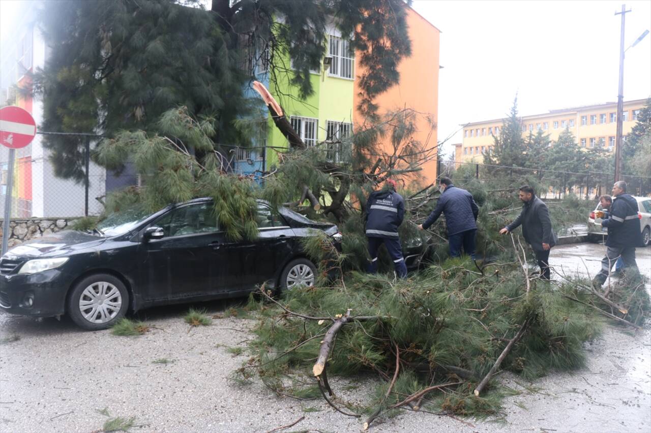 HATAY - Fırtına direk ve ağaçları devirdi, araçlarda hasara yol açtı