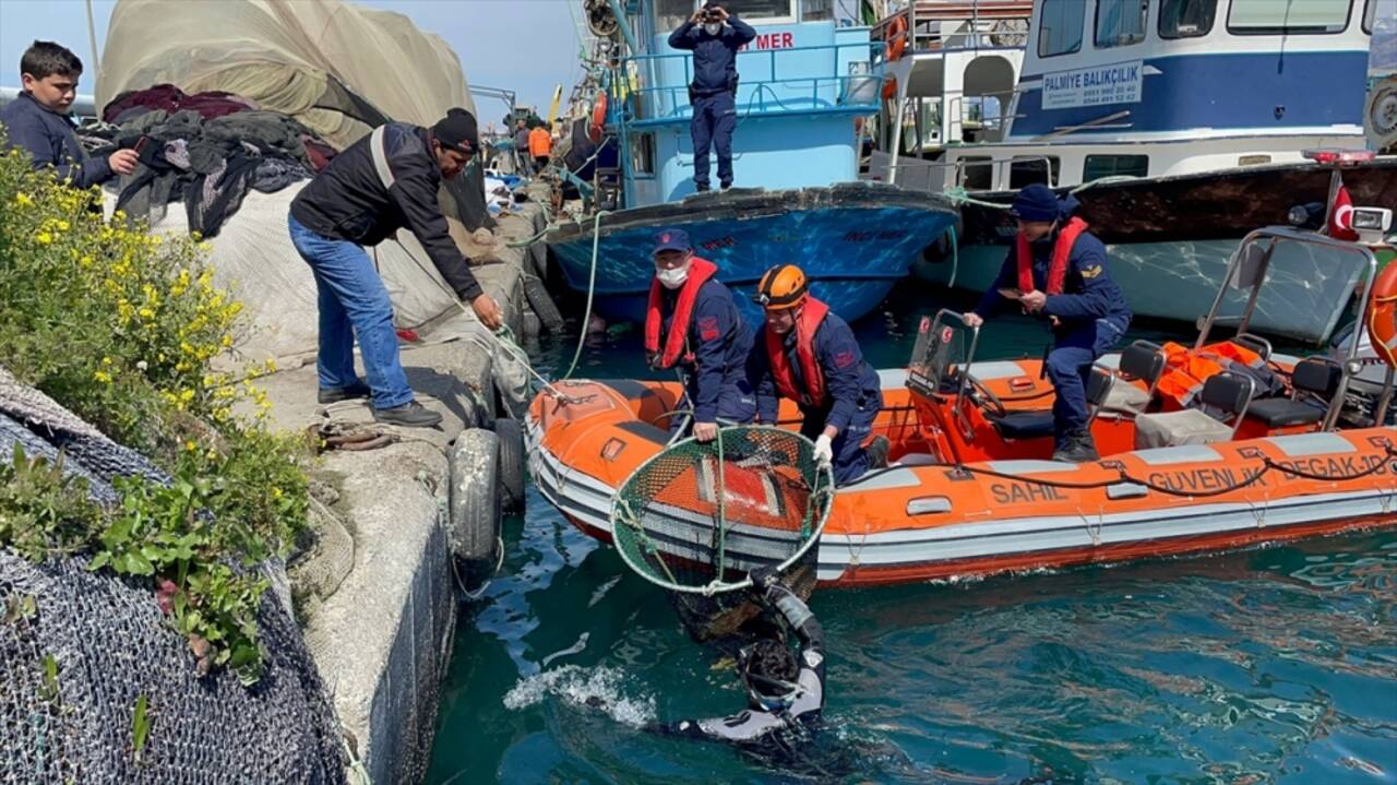 Hatay'da yaralı bulunan deniz kaplumbağası tedaviye alındı