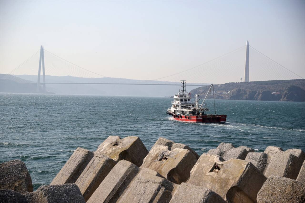 İstanbul'daki balıkçılar, Karadeniz'in batısında avlanmayı durdurma kararını değerlendirdi: