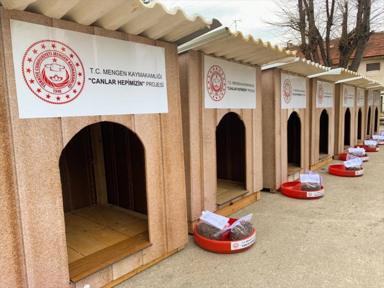 Kamu kurumları "Canlar Hepimizin" projesiyle yavru köpekleri sahipleniyor