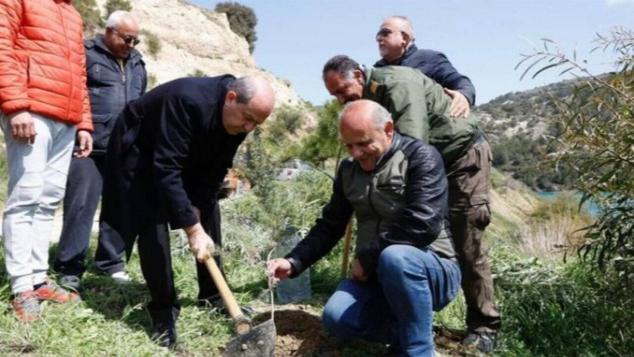 Kıbrıs'ta zeytin fidanı dikerek, yuva sahibi oldular