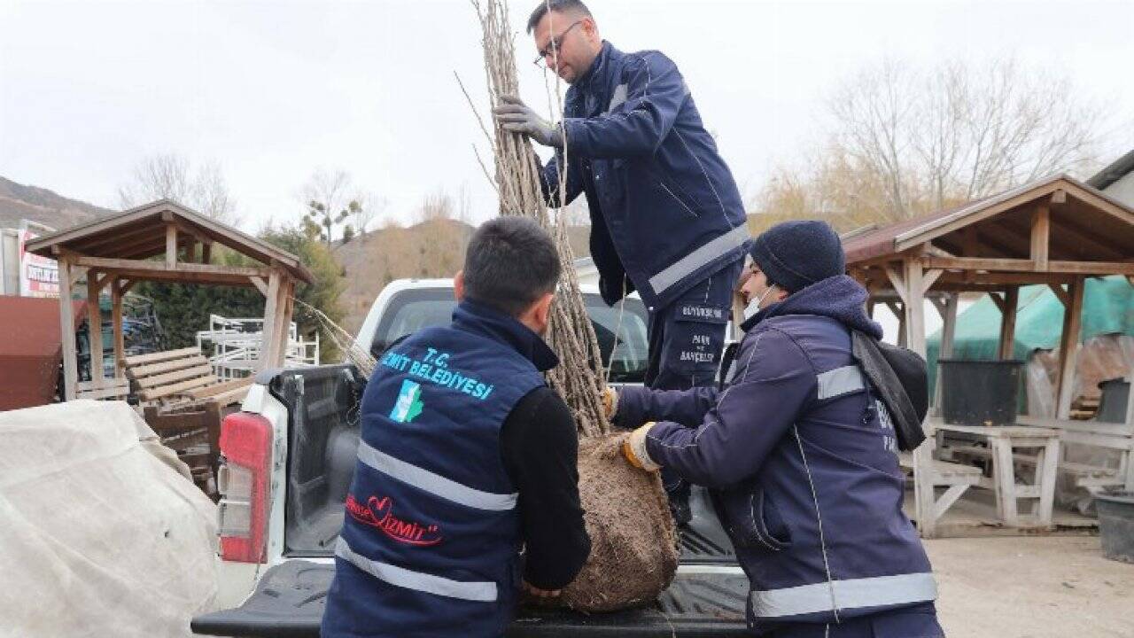 Kocaeli İzmit Belediyesi, ipekböcekçiliği  projesini genişletiyor