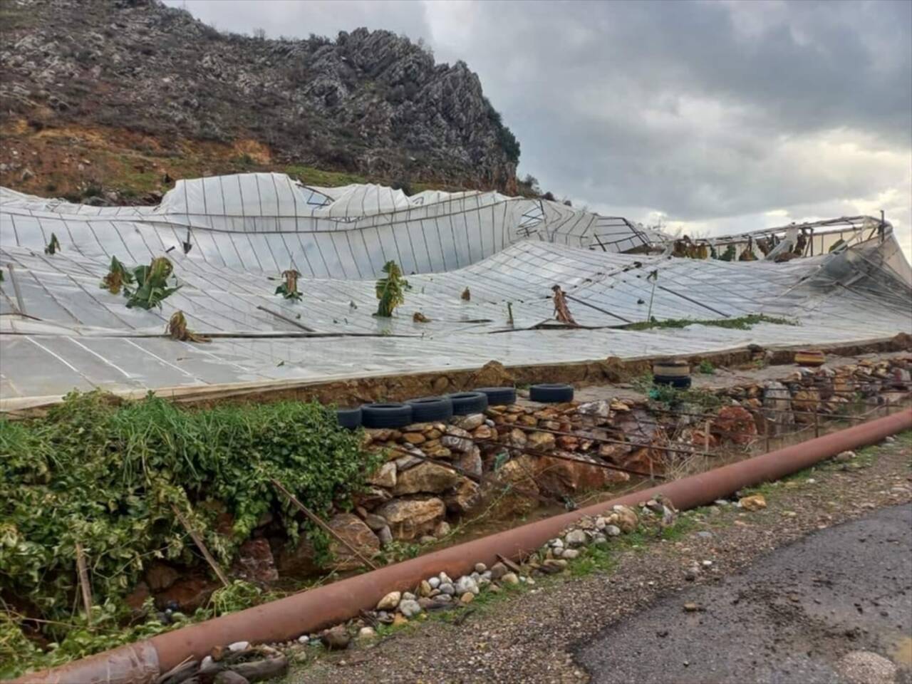 Mersin'de fırtına seralara zarar verdi