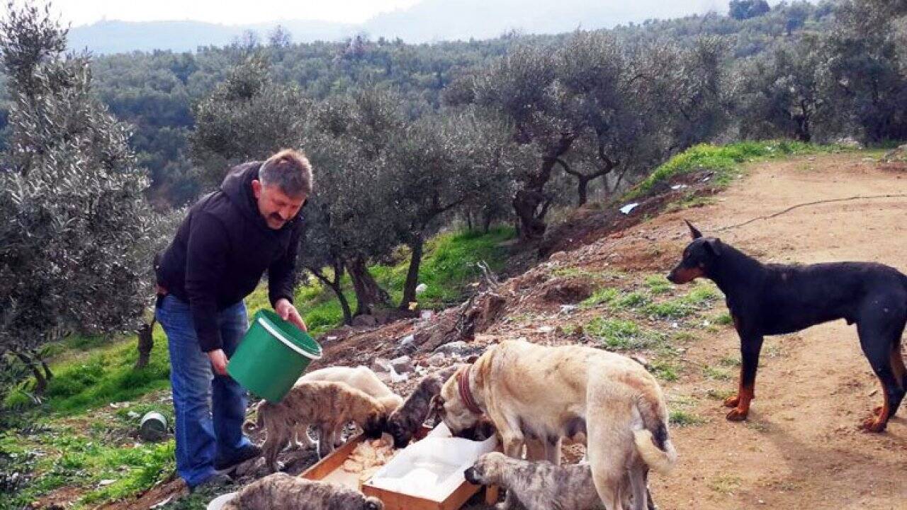 Mudanyalı muhtardan can dostlara ziyafet