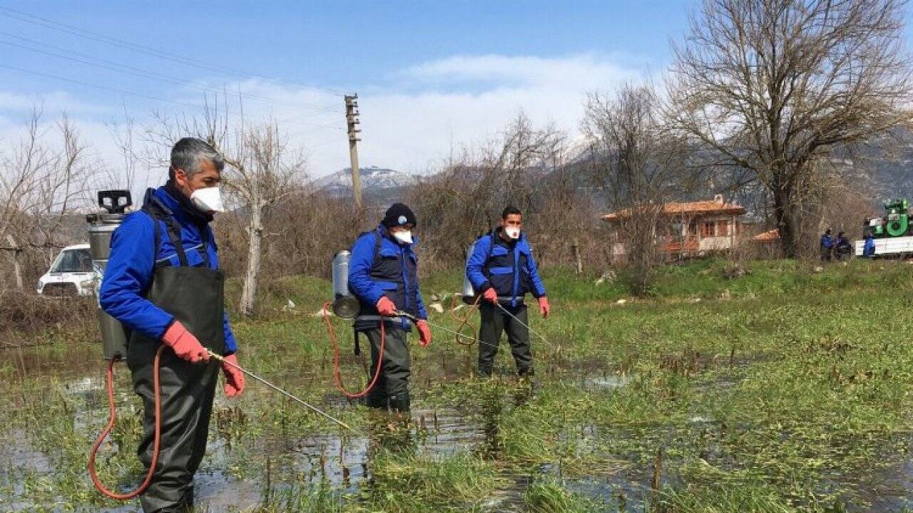 Muğla Büyükşehir’den Karabağlar Yaylası’nda vektörle mücadele