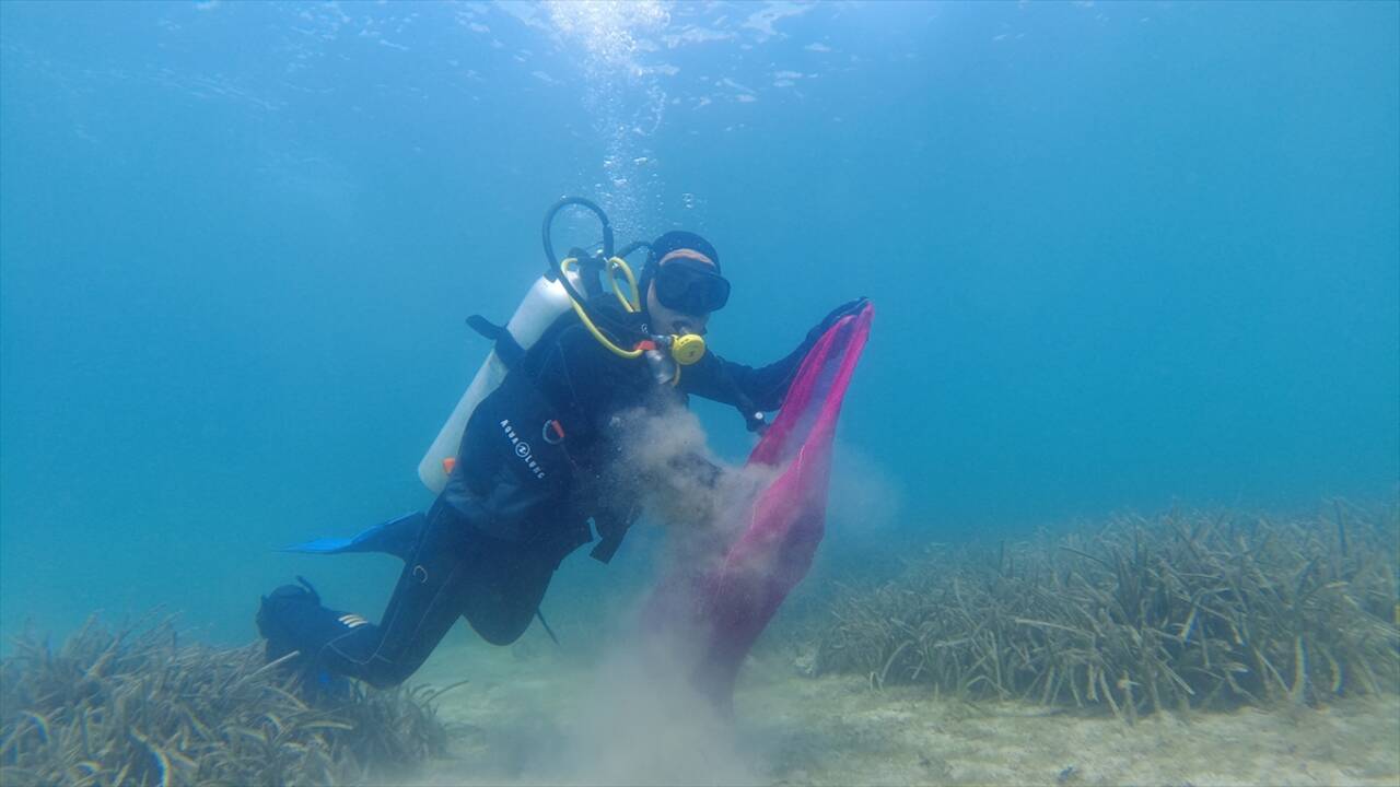 MUĞLA - Dalgıçlar deniz dibi, öğrenciler de kıyı temizliği yaptı