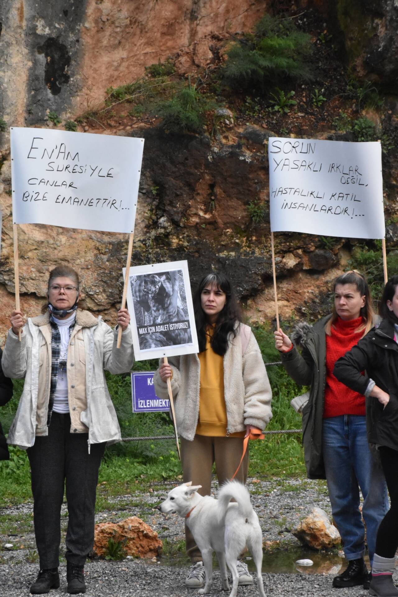 Muğla'da bir köpeğin ağaca asılarak öldürülmesi tepki gördü