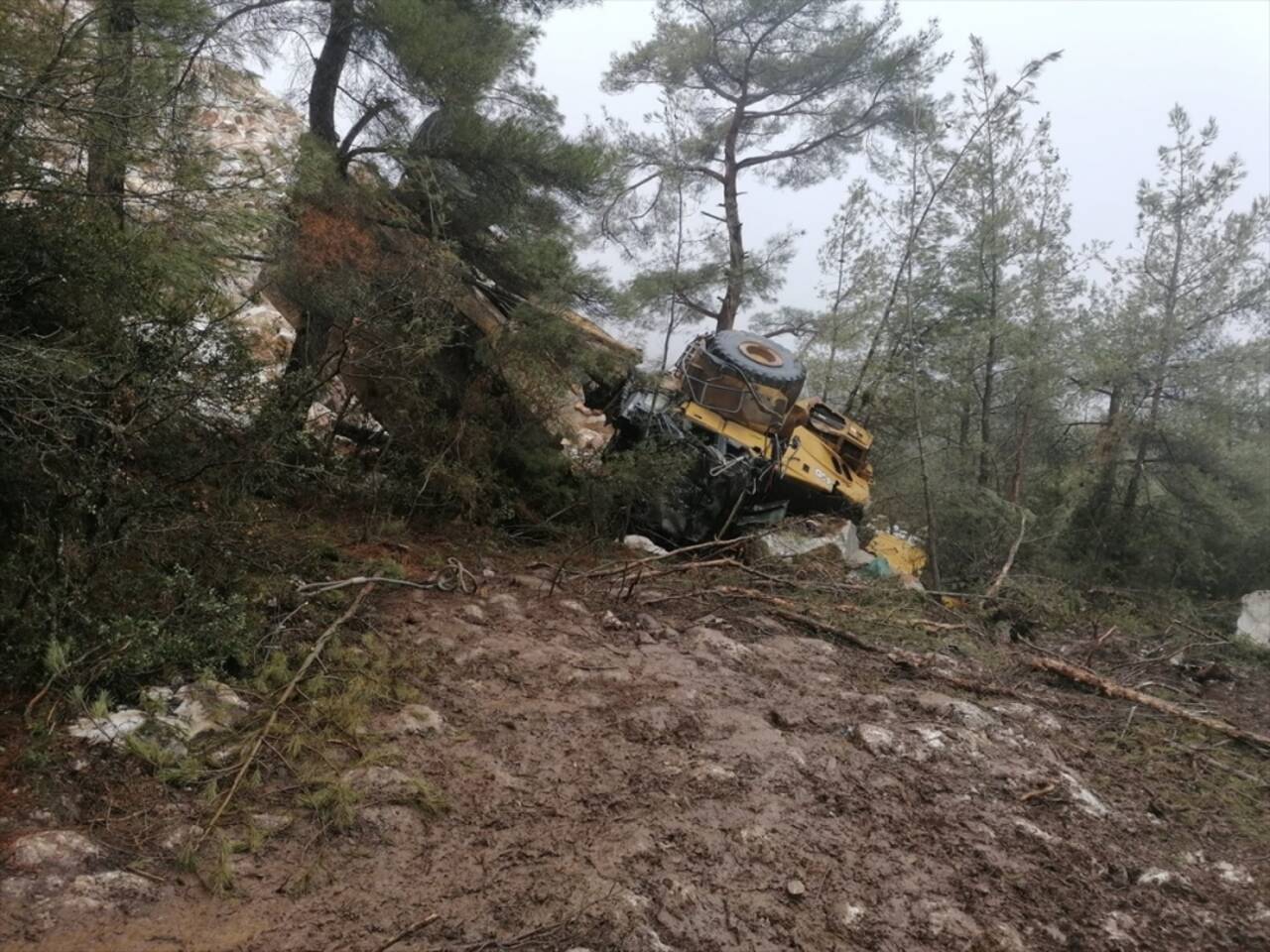 Muğla'da uçuruma devrilen kamyonun sürücüsü yaralandı