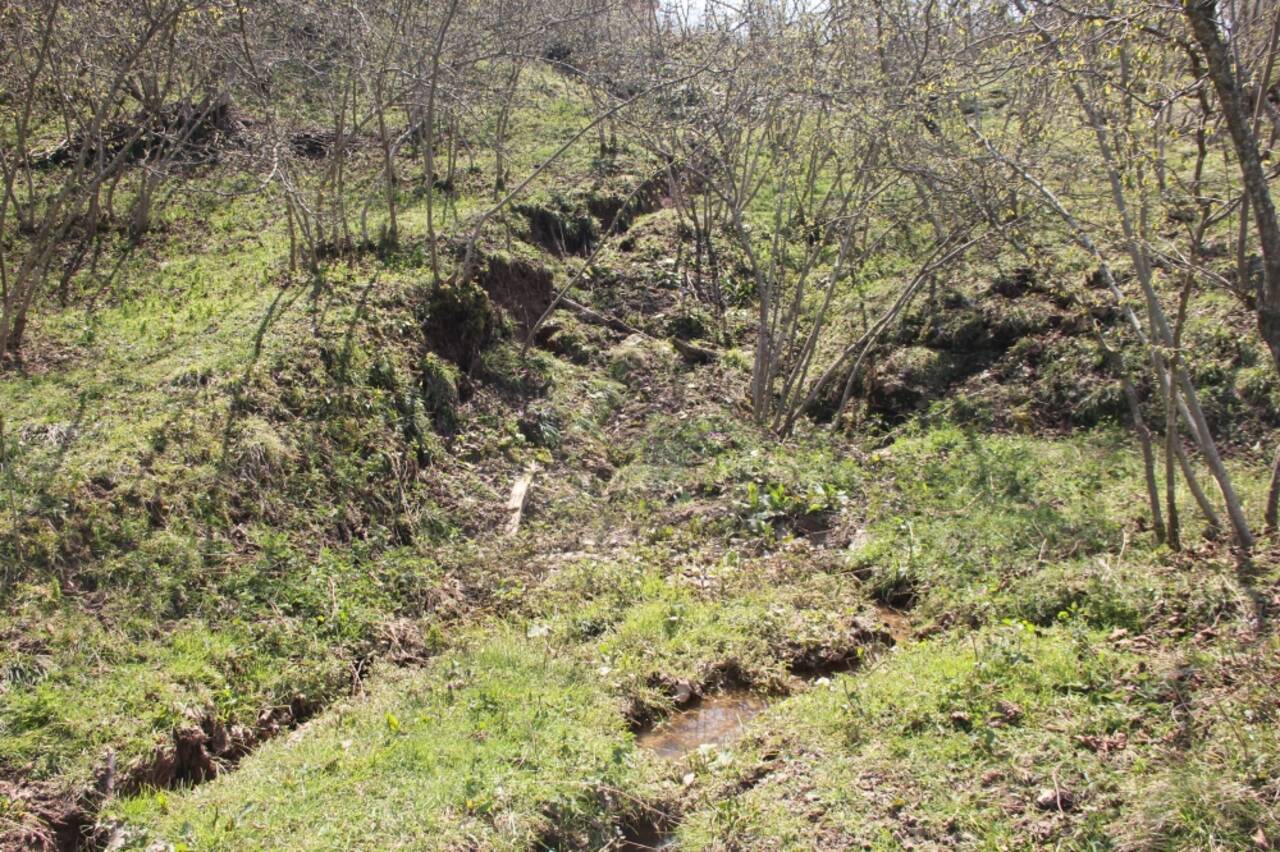 Ordu'da heyelan nedeniyle bahçe ve yollar zarar gördü