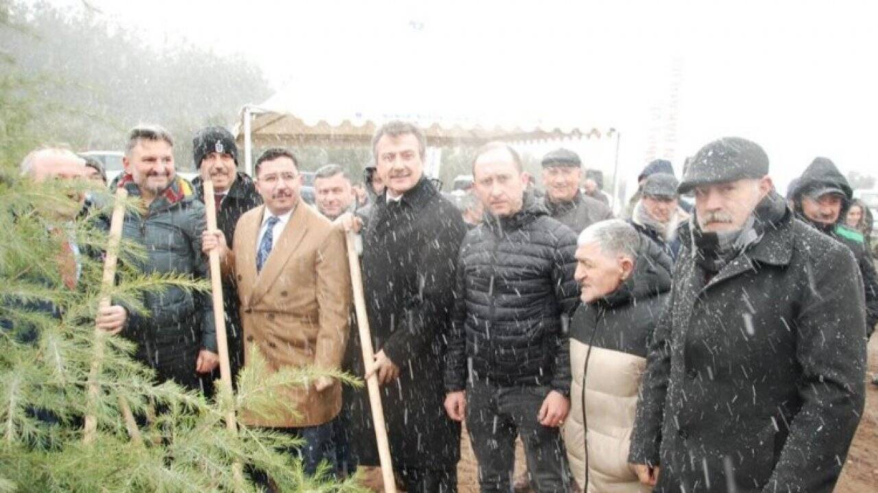 Paris Trabzonlular'dan 'Eren Bülbül' anısına Bursa'da hatıra ormanı