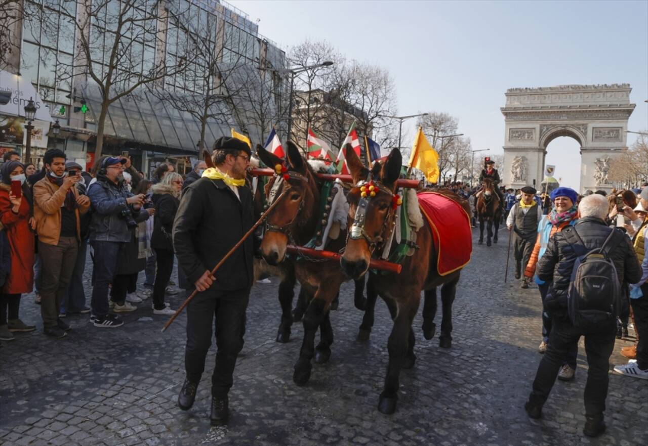 Paris'in en ünlü caddesini koyunlar doldurdu