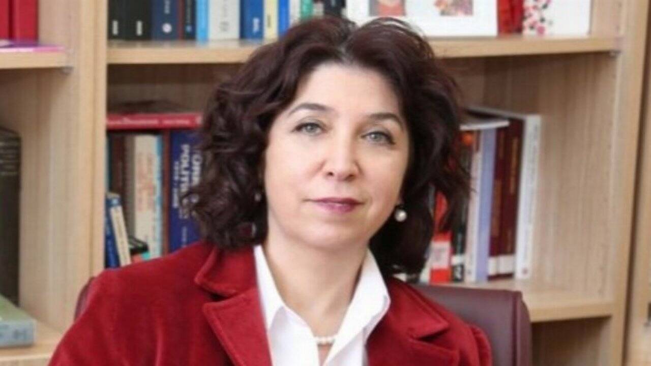 Prof. Dr. Arslan: "Türkiye, geçiş yolu değil enerji merkezi olmalı"