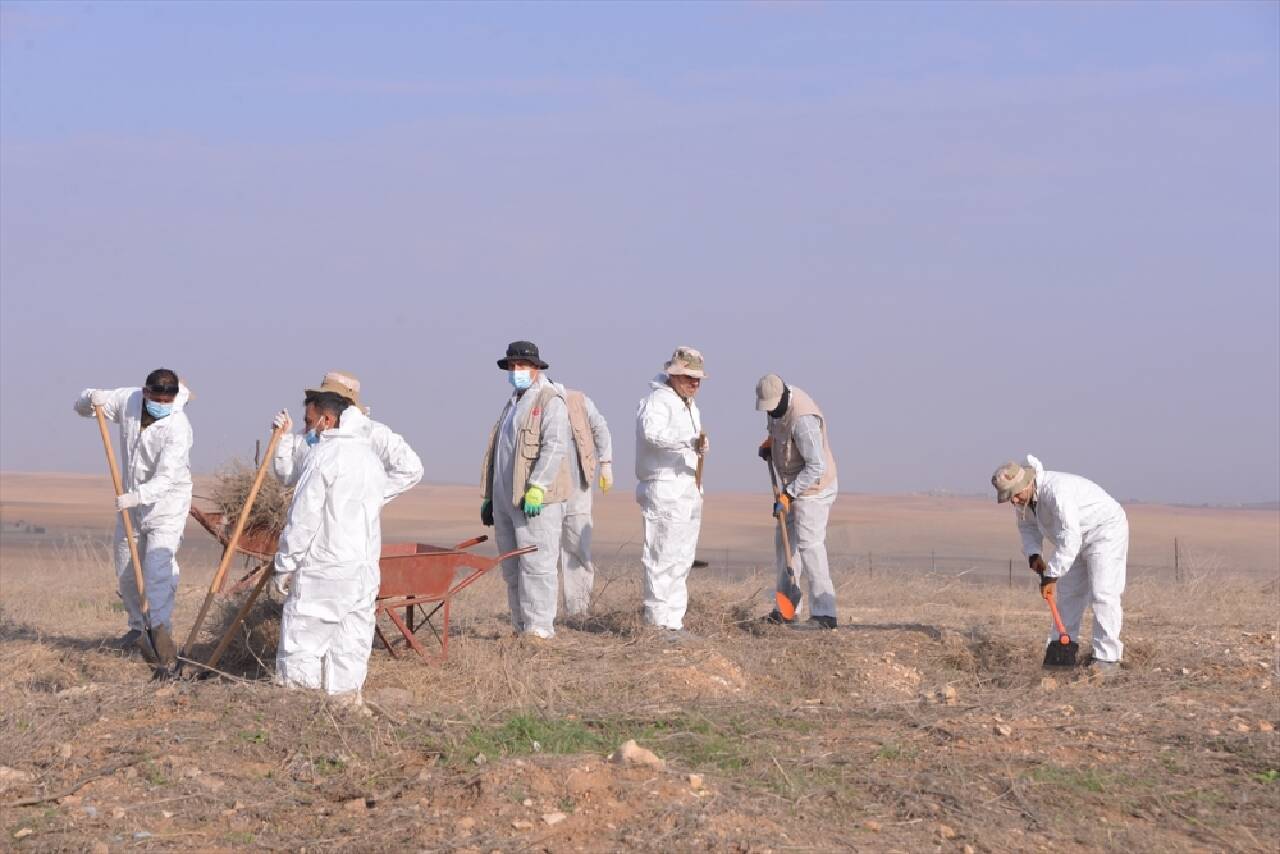 Sincar'da 2014'ten bu yana Ezidilere ait 81 toplu mezar bulundu