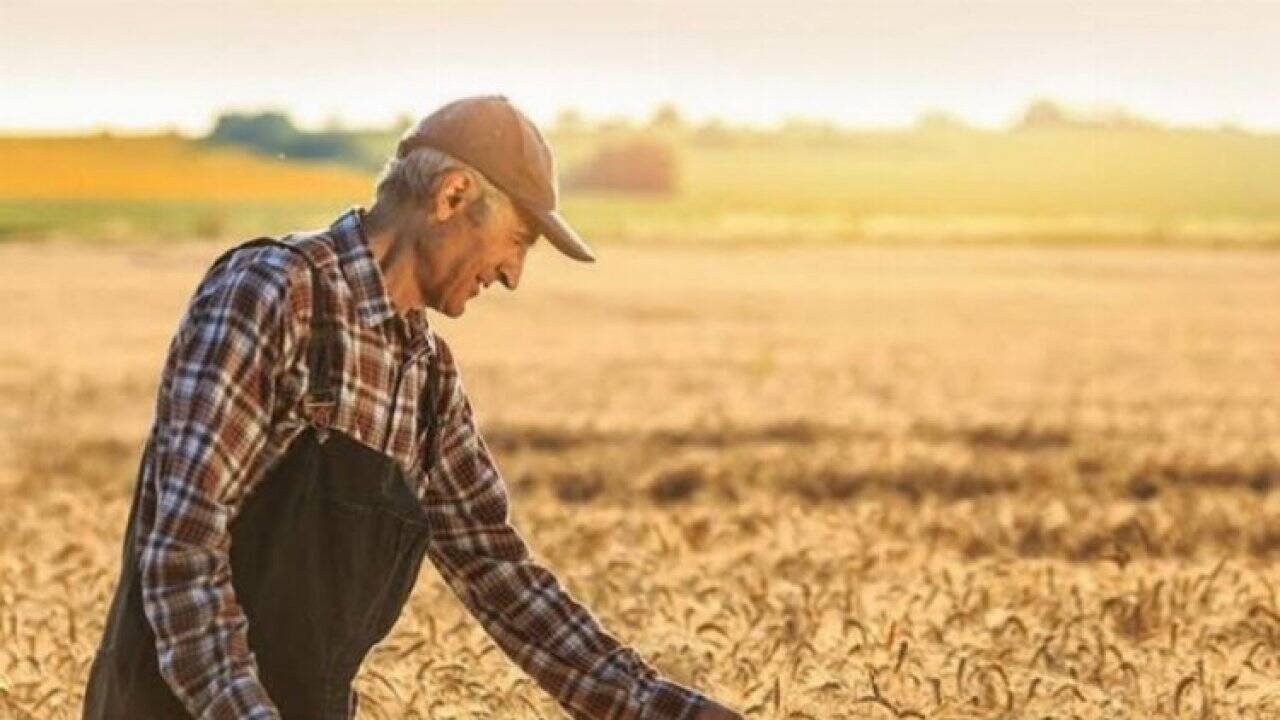 Tarım Ürünleri Üretici Fiyat Endeksi belli oldu