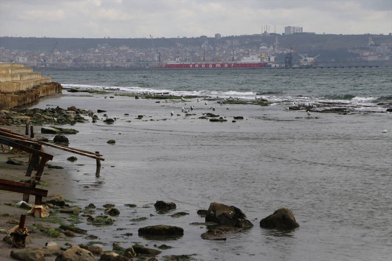 Deniz suyu 5 ile 10 metre arası çekildi