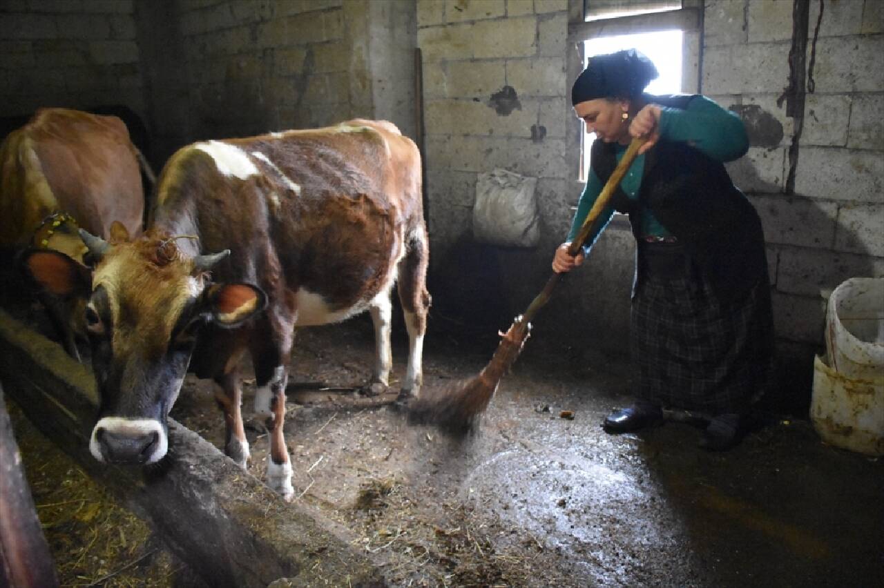 Üretici kadınların pazar tezgahındaki sesi oldu