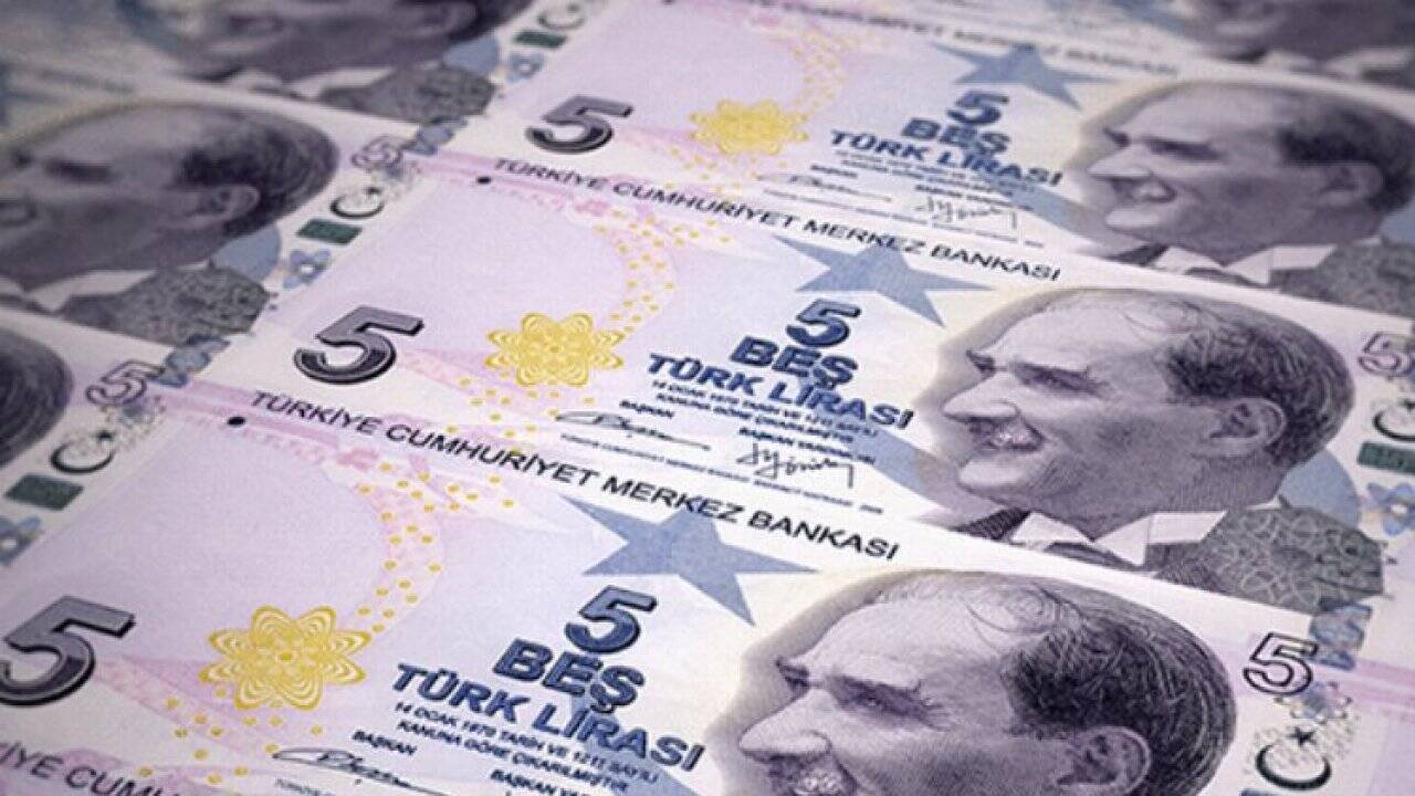 Yeni 5 TL'lik banknotlar tedavüle girdi