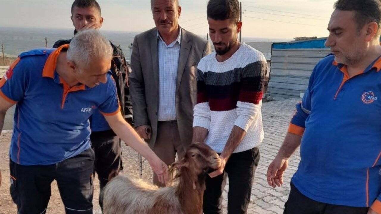 Adıyaman'da mahsur kalan keçi kurtarıldı 