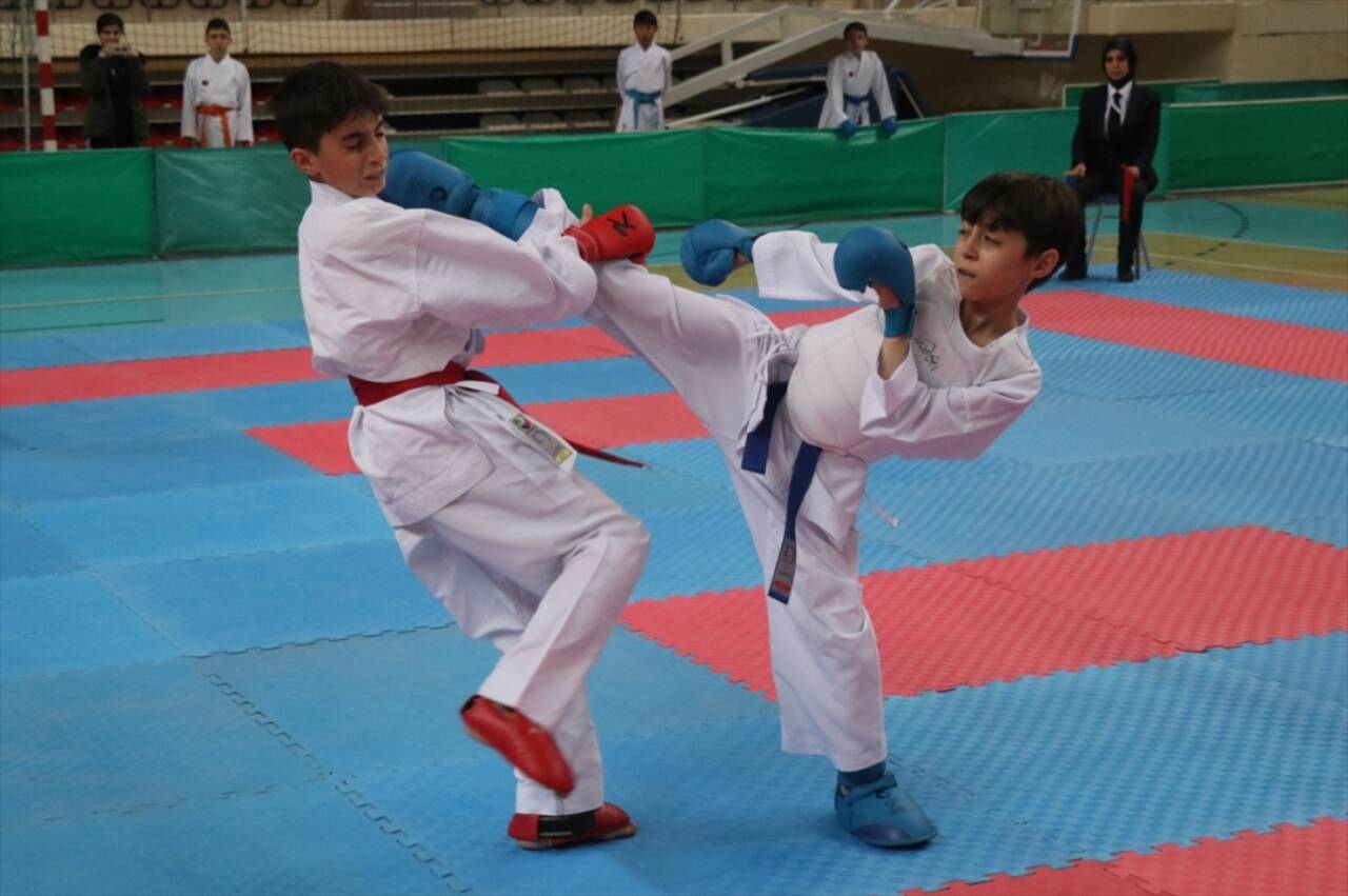 Anadolu Yıldızlar Ligi'nde karate grup müsabakaları Erzincan'da başladı