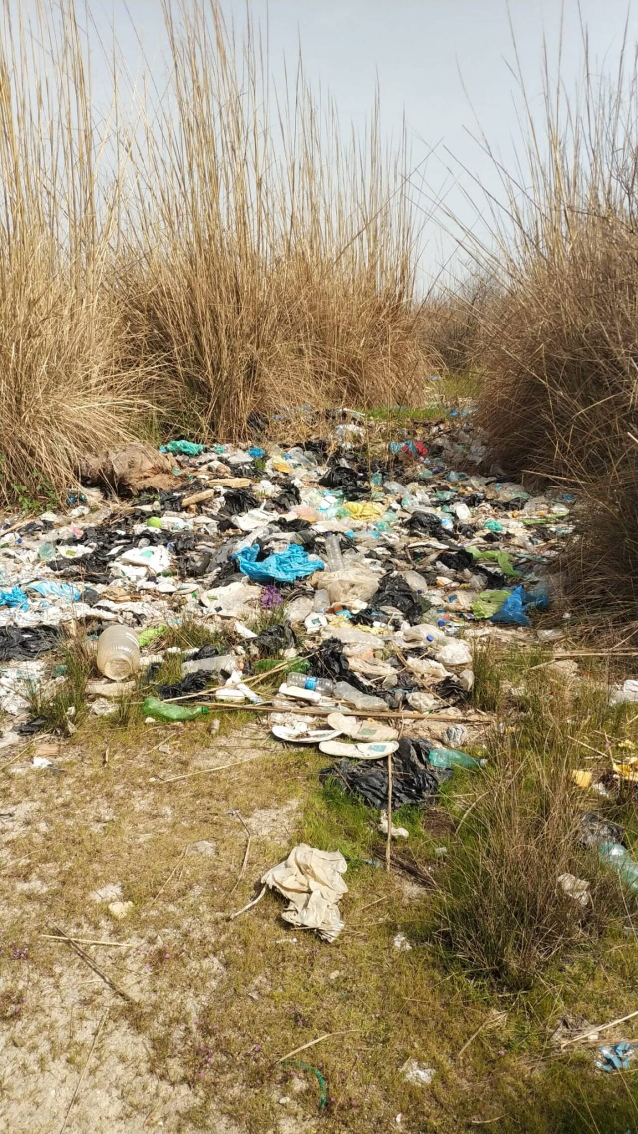 Antalya'da atıkları doğaya dökülen işletme hakkında adli ve idari işlem başlatıldı