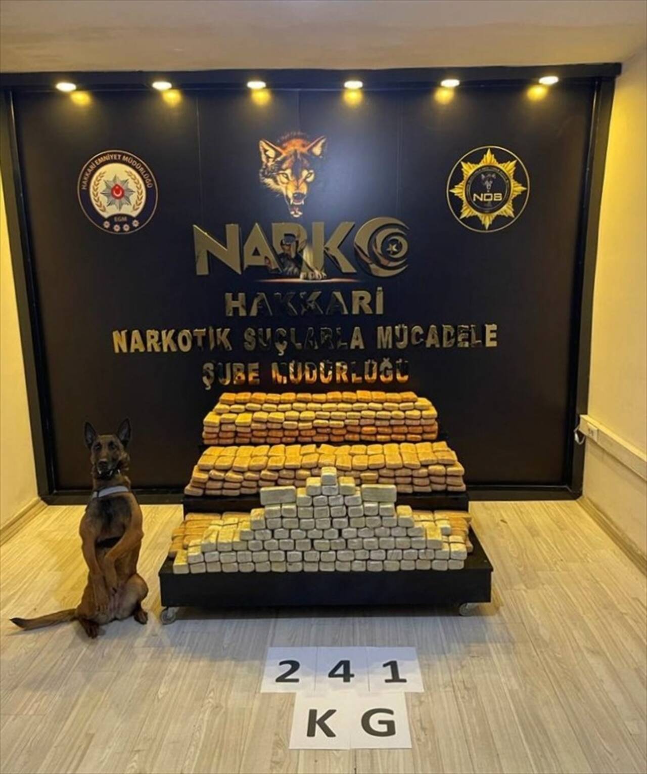 Bakan Soylu, Hakkari'de 241 kilogram eroin ele geçirildiğini belirtti