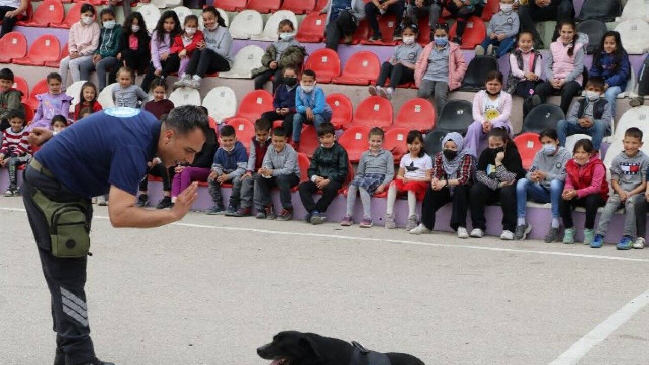 Can dost Asel, yeni yuvasında