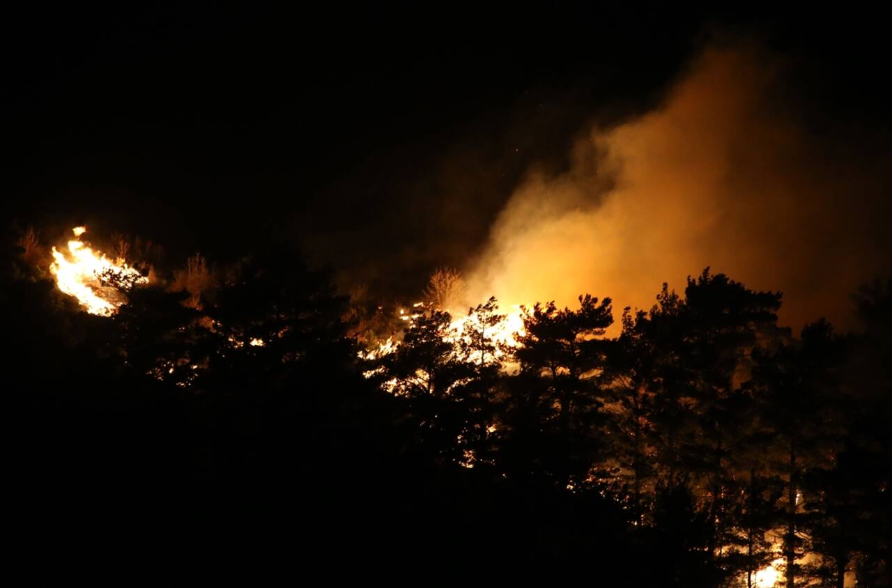 ÇANAKKALE - Orman yangınına müdahale ediliyor