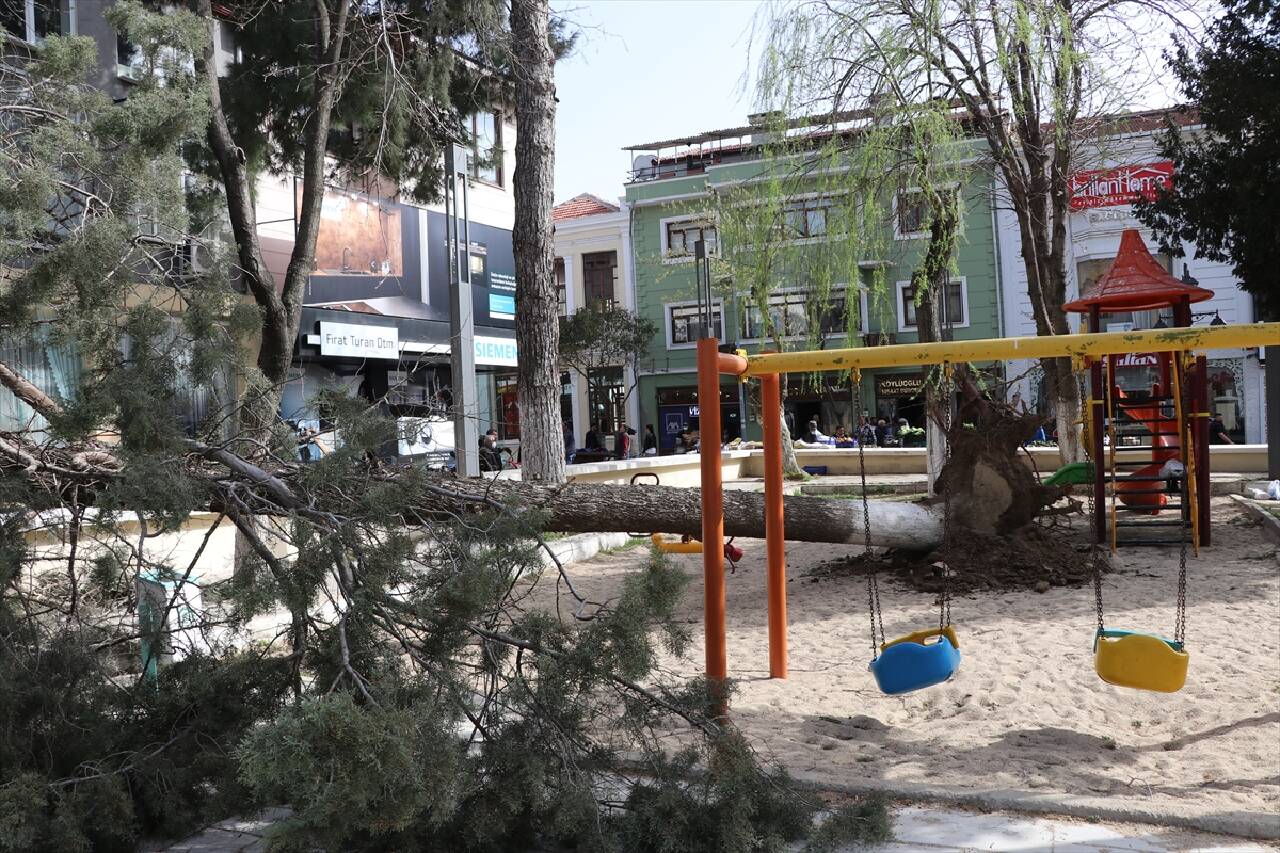 MUĞLA - Orman Şehitleri Bahar Kupası Kano Yarışları, Köyceğiz'de yapıldı