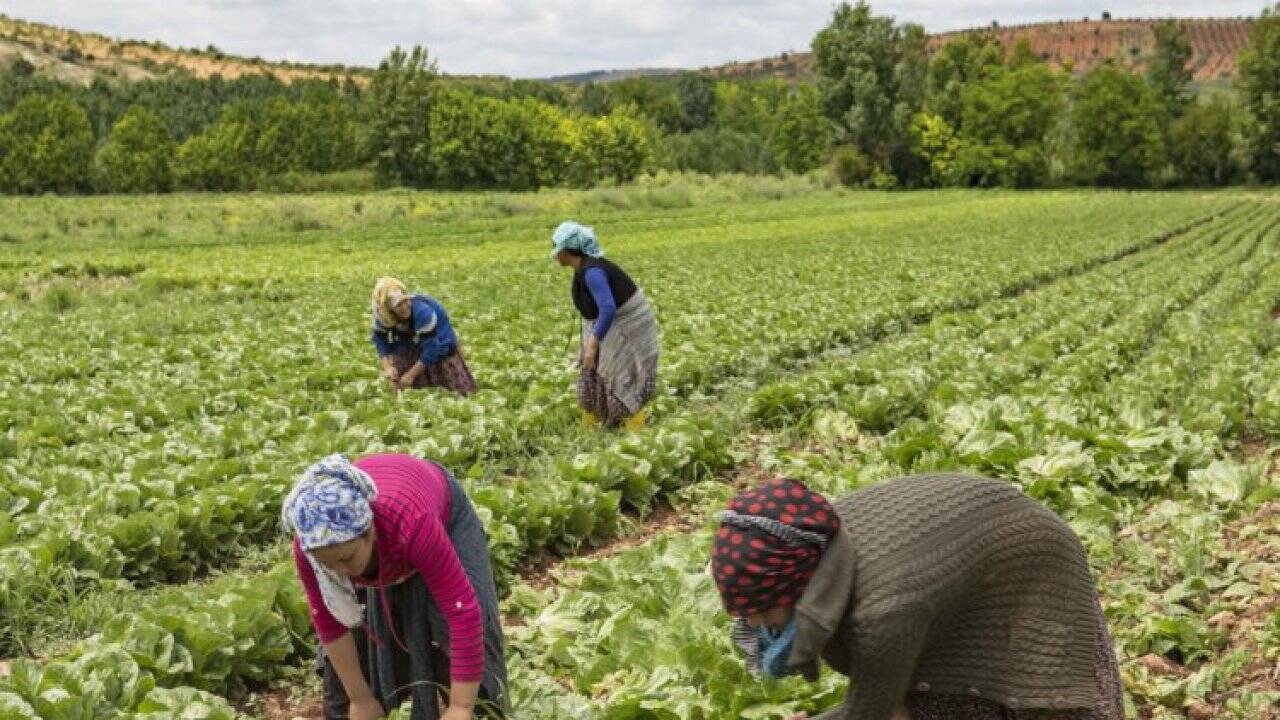 Eğitimli yerel üretici kadınların ürünlerini satışta