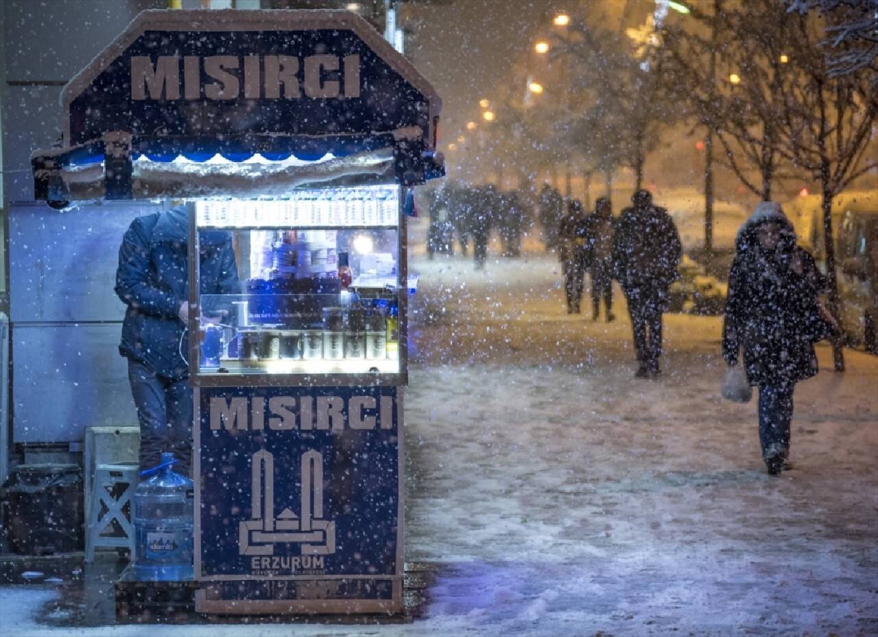 Erzurum, Ardahan ve Kars'ta kar yağışı etkili oldu