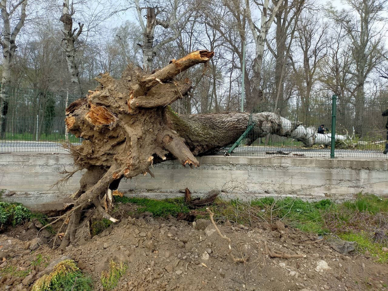 Edirne'de kuvvetli fırtına hayatı olumsuz etkiliyor