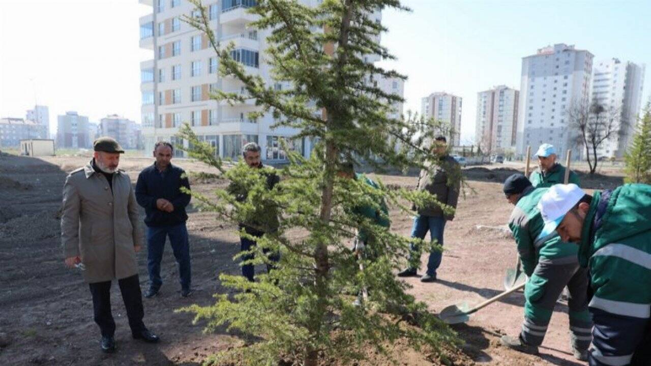 Kayseri Kocasinan ağaç dikim sezonunu açtı 