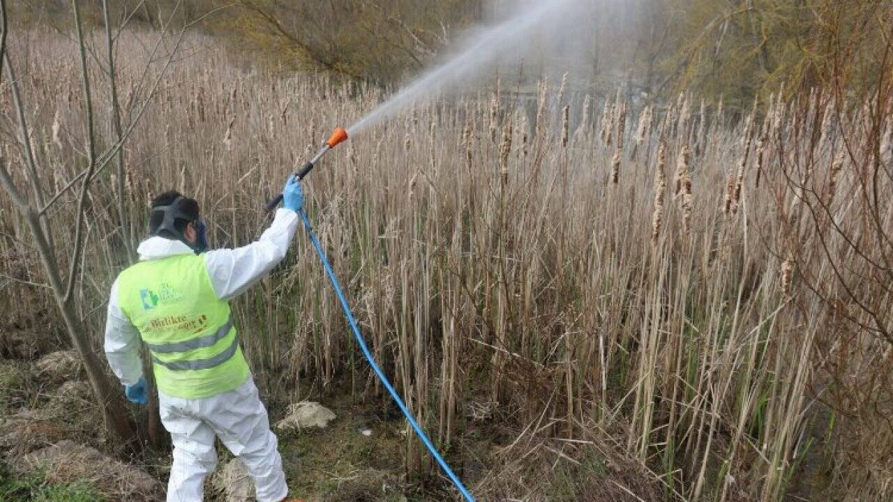 Kocaeli İzmit Belediyesi sivrisinek ile  mücadele çalışmalarına hız verdi