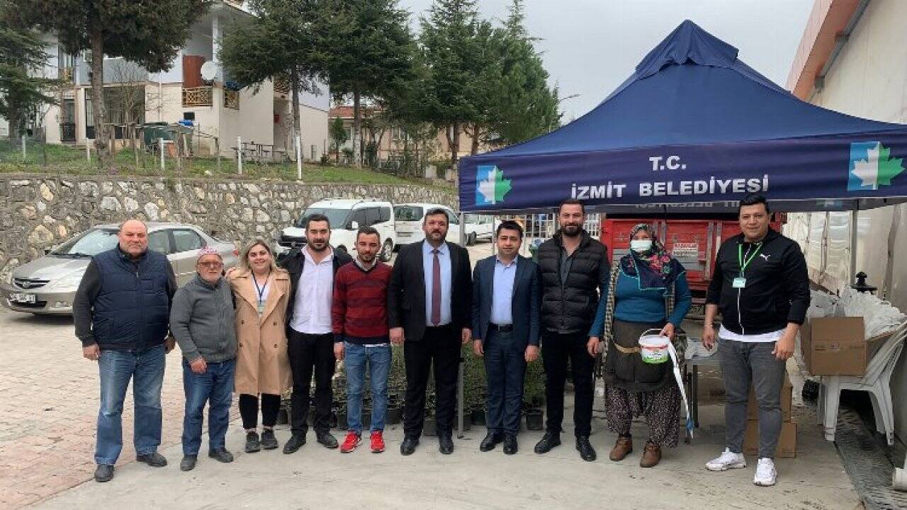 Kocaeli İzmit Belediyesinden vatandaşlara selvi fidesi 