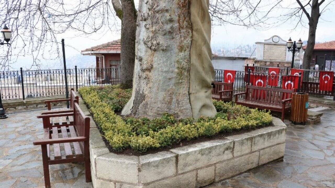 Kocaeli tarihi Orhan Camii çiçek açtı