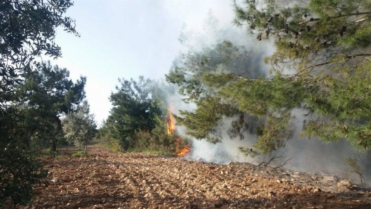 Manisa Akhisar’da ormanlık ve zeytinlik alandaki yangına müdahale 