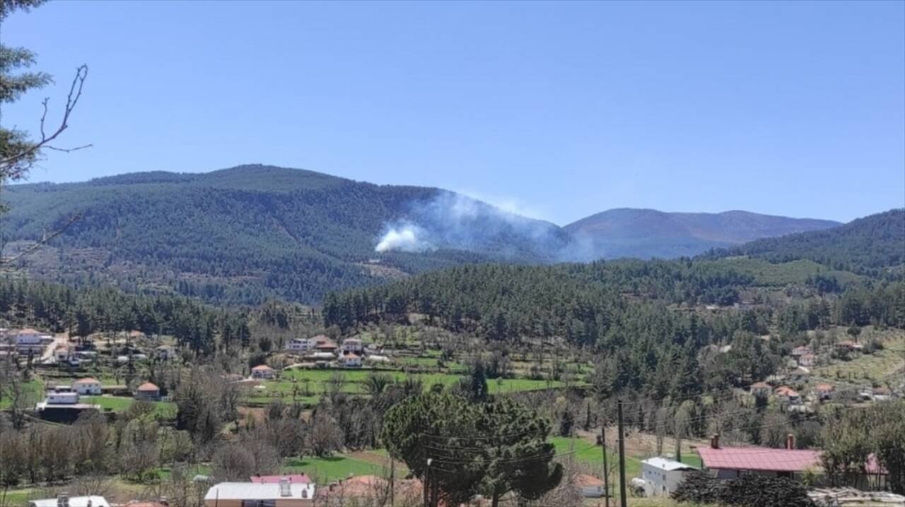 Muğla'da çıkan orman yangınına müdahale ediliyor