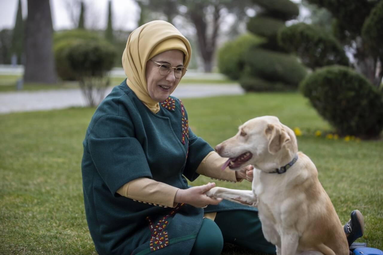 Emine Erdoğan, Sıfır Atık Projesi'ni değerlendirdi: