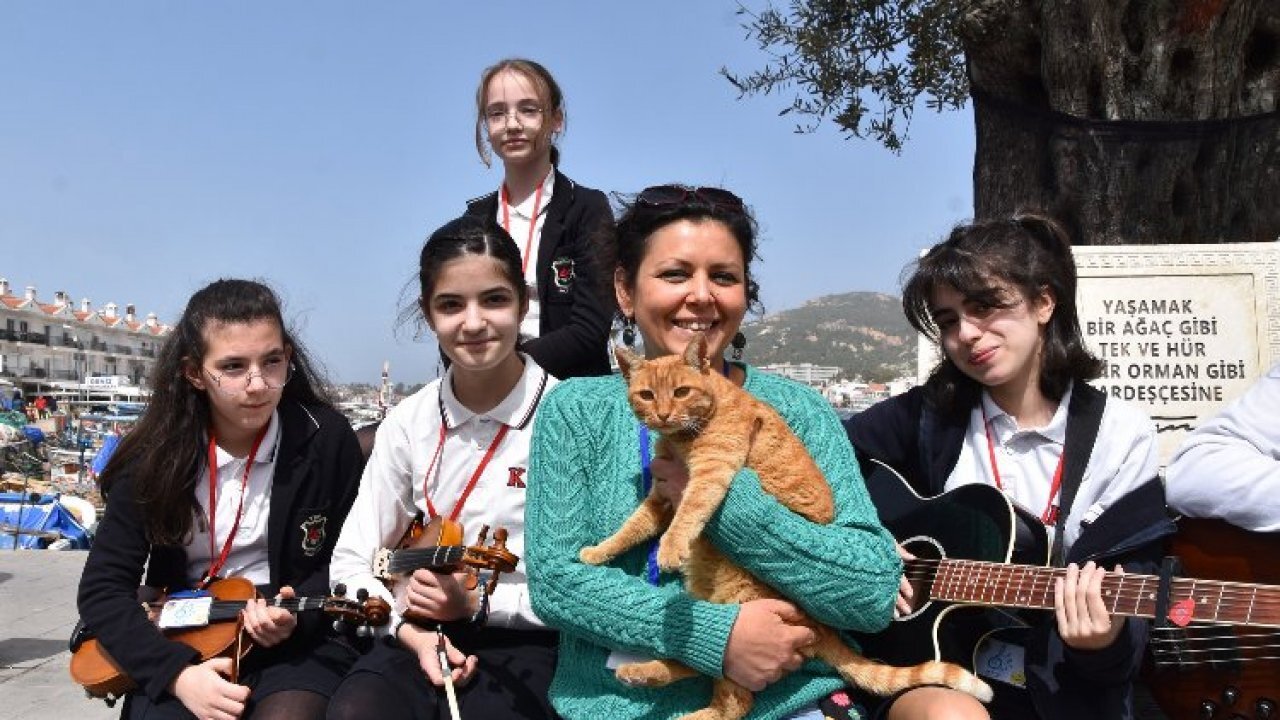 Sokak hayvanları için Bahar Kermesi