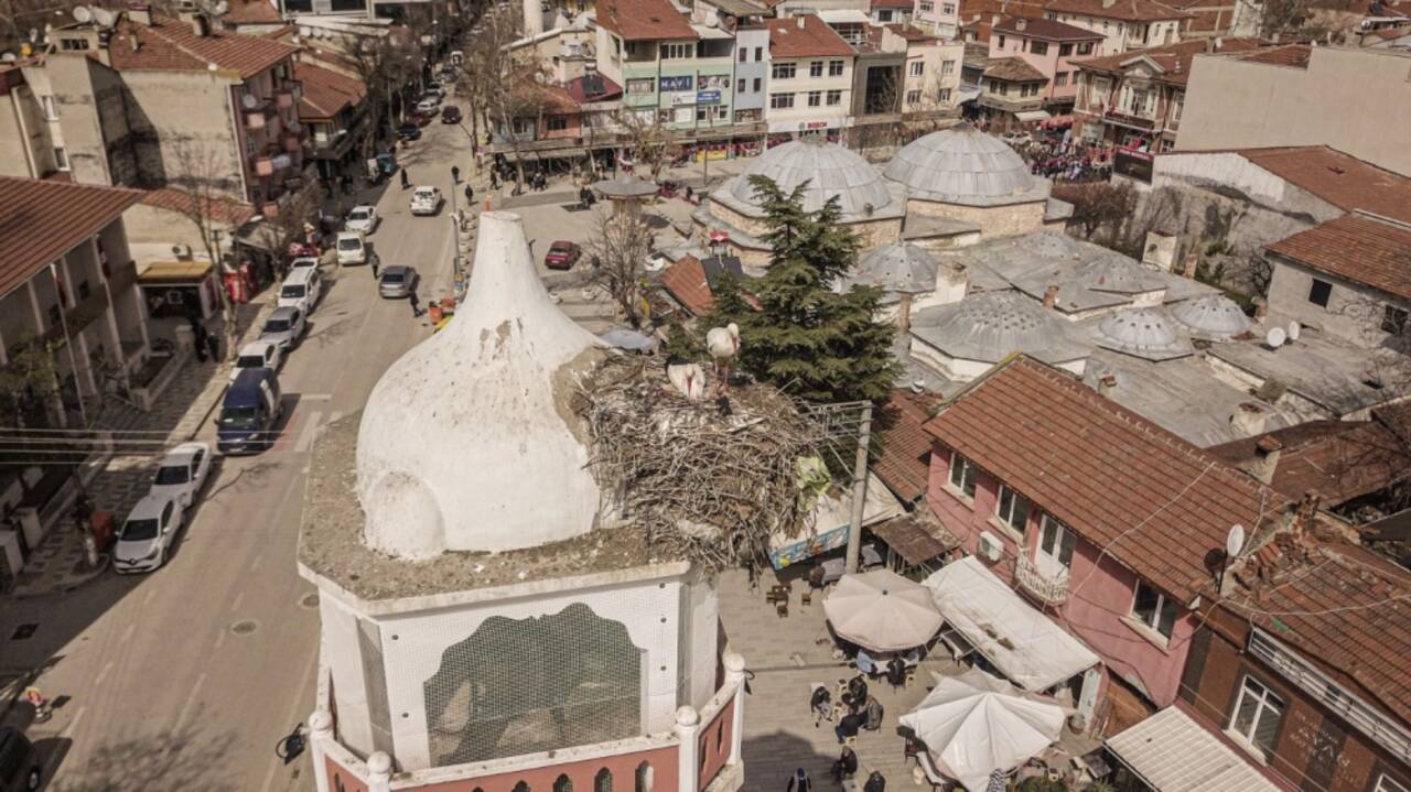 Yenişehir'in tarihi saat kulesinin leylek çifti yuvasına yerleşti