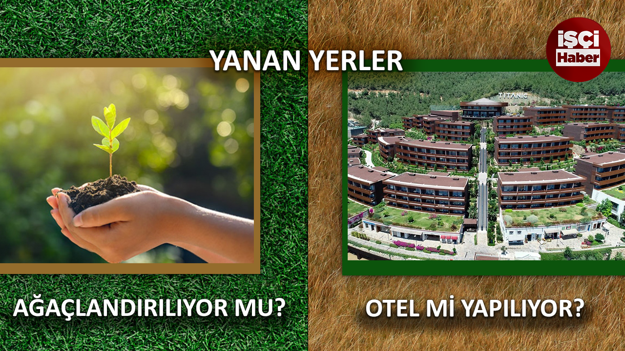 Yanan ormanların yerine otel mi yapılıyor?