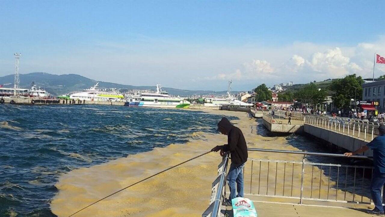 TBMM Genel Kurulu'nda yasalaştı... Müsilajla mücadelede yeni dönem