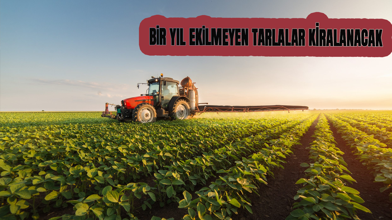 1 yıl ekilmeyen tarlayı devlet kiralayacak