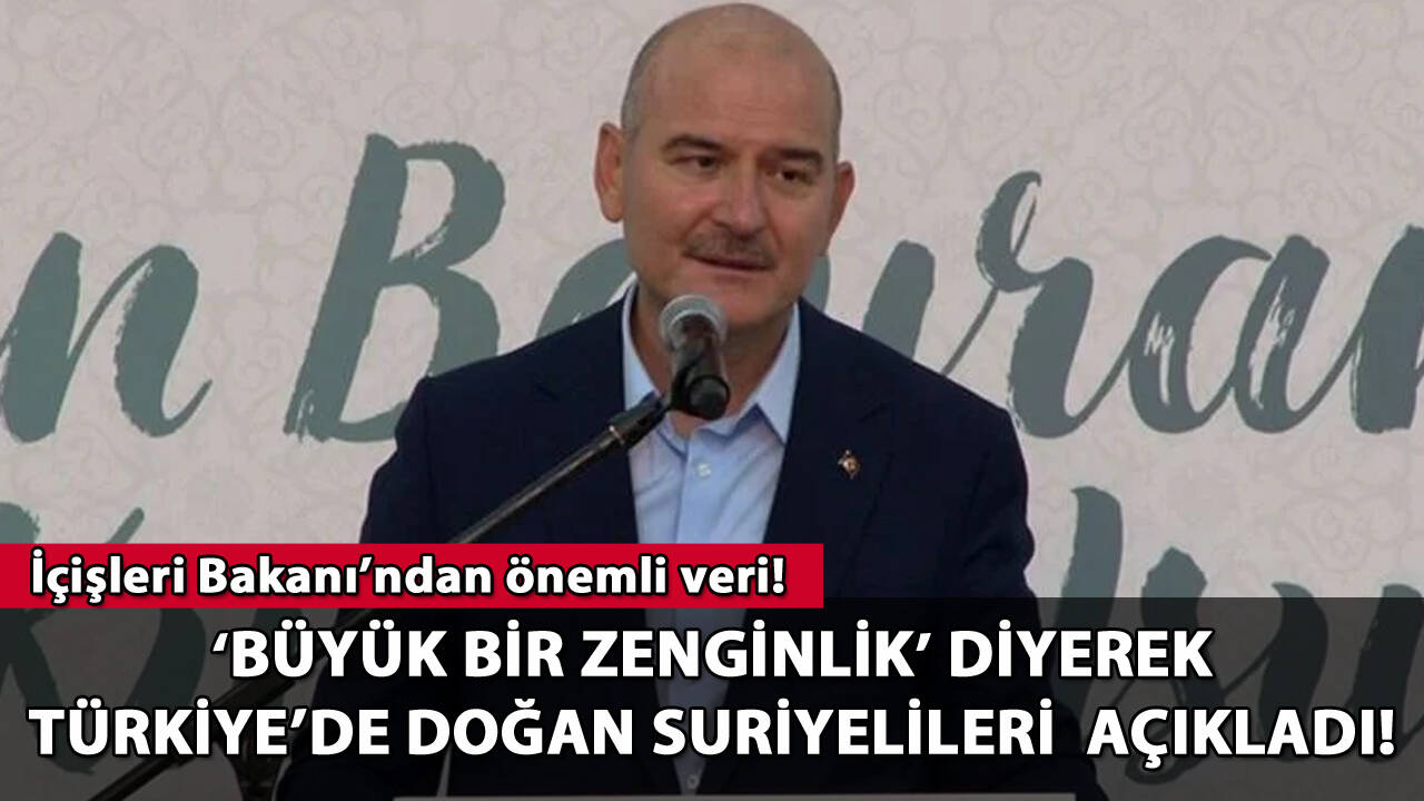 İçişleri Bakanı, Türkiye'de doğan Suriyeli sayısını açıkladı: 'Büyük bir zenginlik'