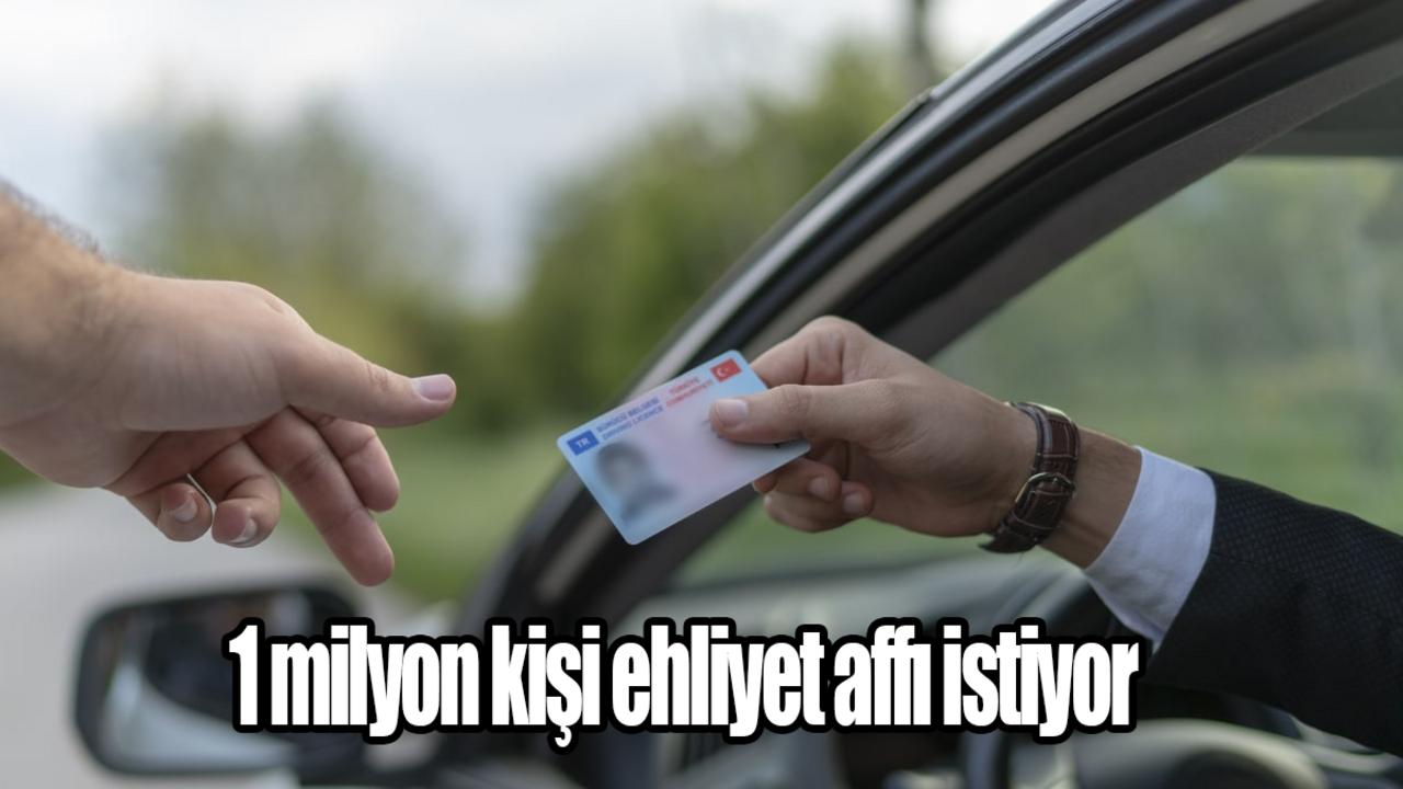 1 milyon kişi ehliyet affı istiyor