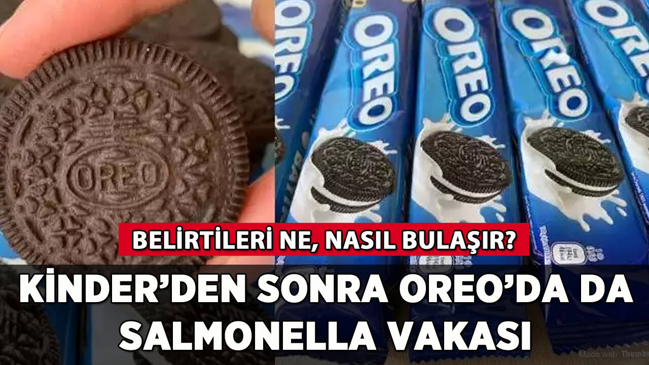 Kinder'den sonra Oreo'da da salmonella vakası: Nedir, nasıl bulaşır? İşte ayrıntılar